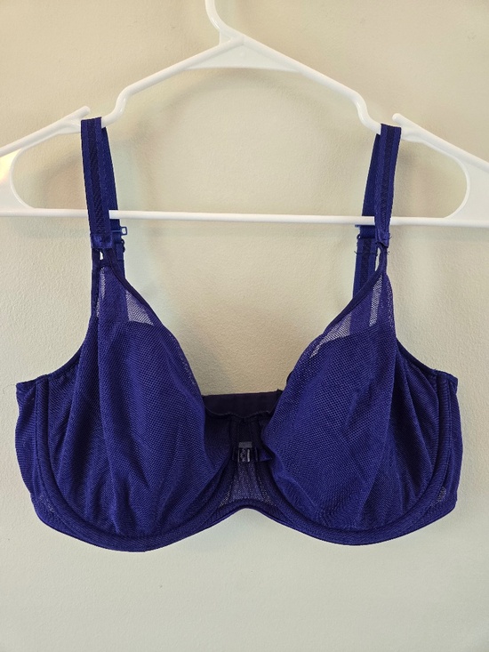 Chantelle Other - Chantelle Blue Mesh Bra - 34D/E